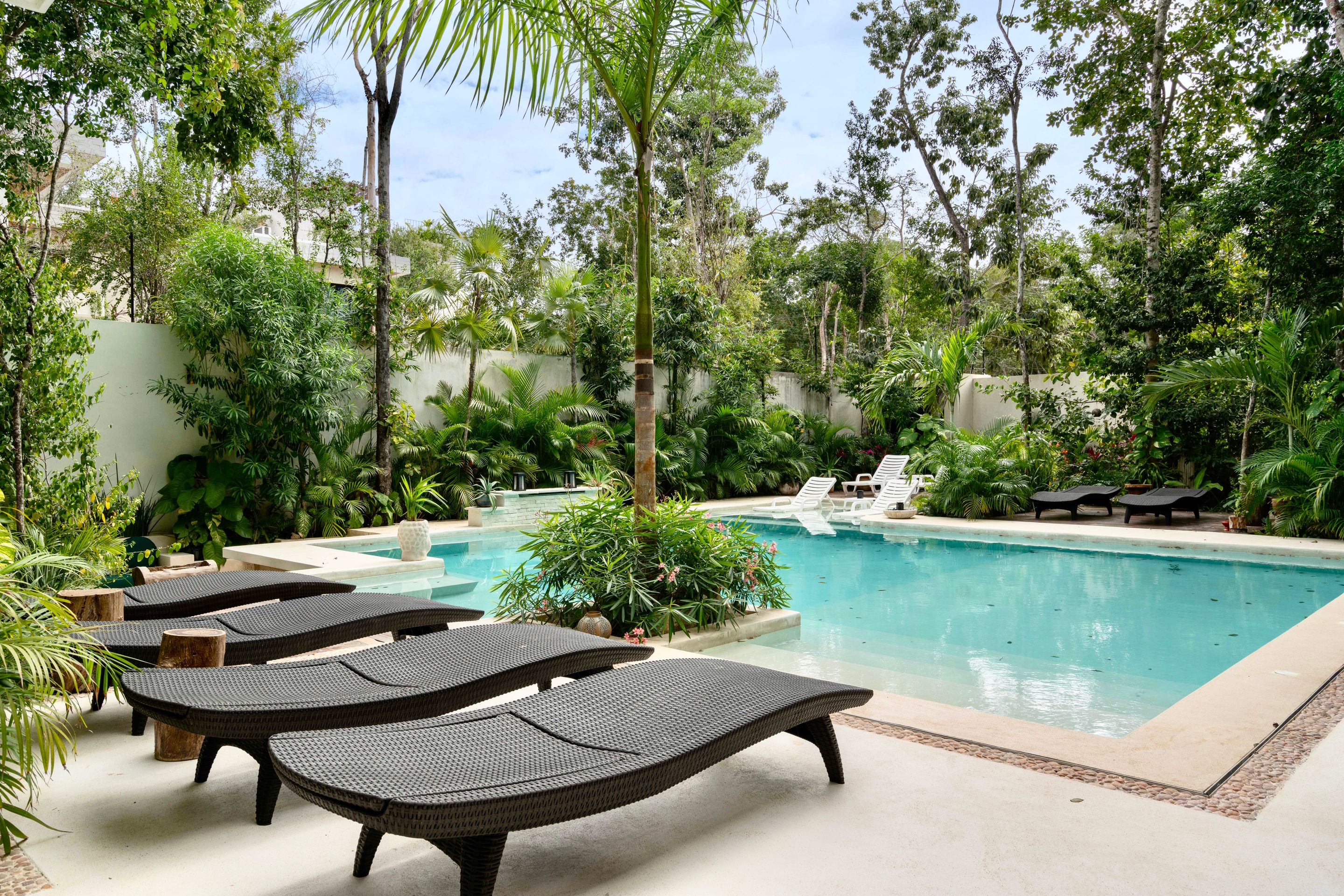 Loungers beside a swimming pool surrounded by dense tropical planting
